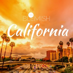 网络客户小鹤导航
