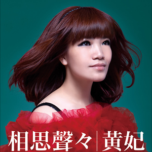 网络客户小鹤导航
