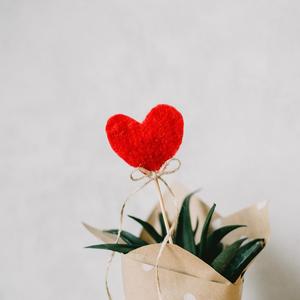 网络客户小鹤导航
